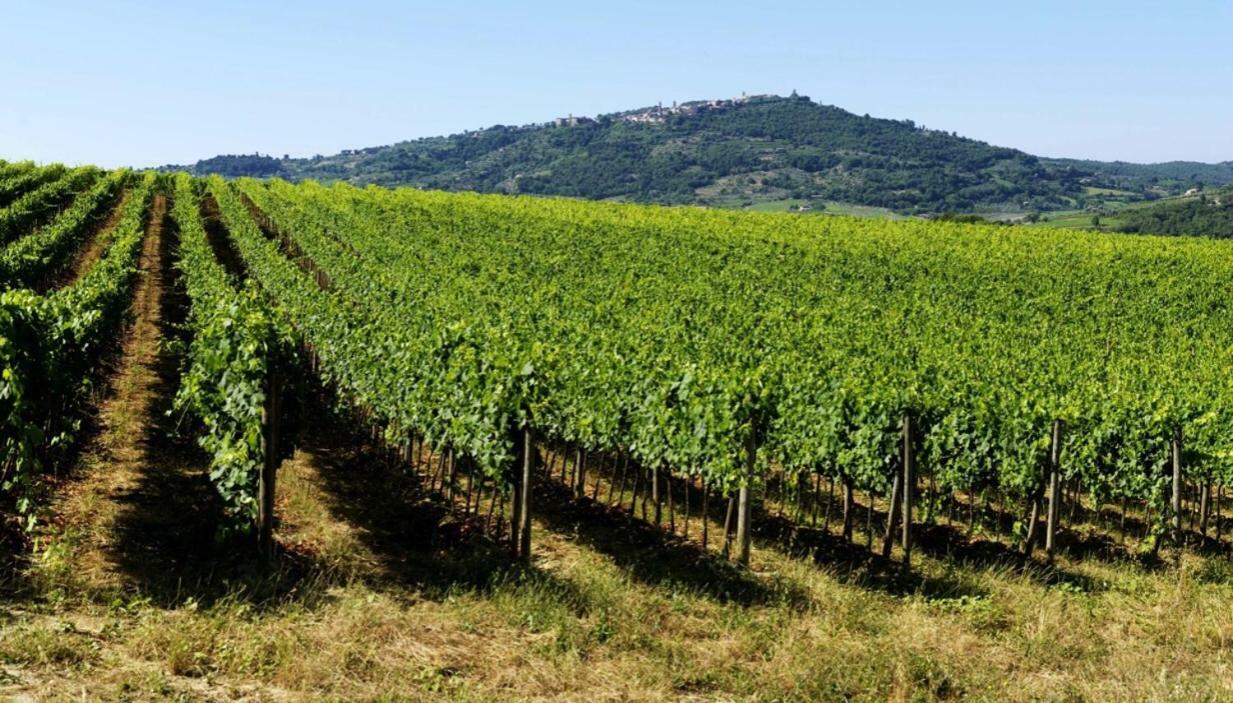 Cordella In Montalcino Wine Resort Exterior photo